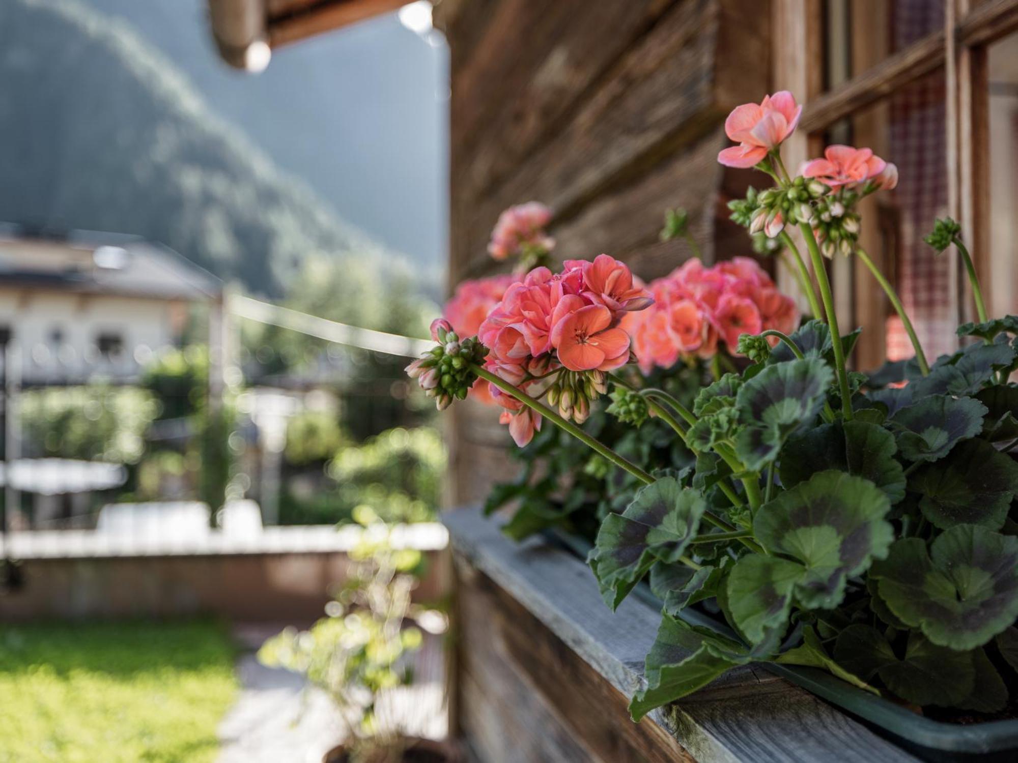 Appartement Myalps Muehlhof Inklusive Sauna Oetz